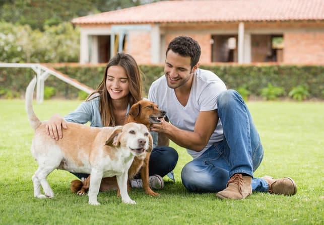 a happy couple petting their dog together