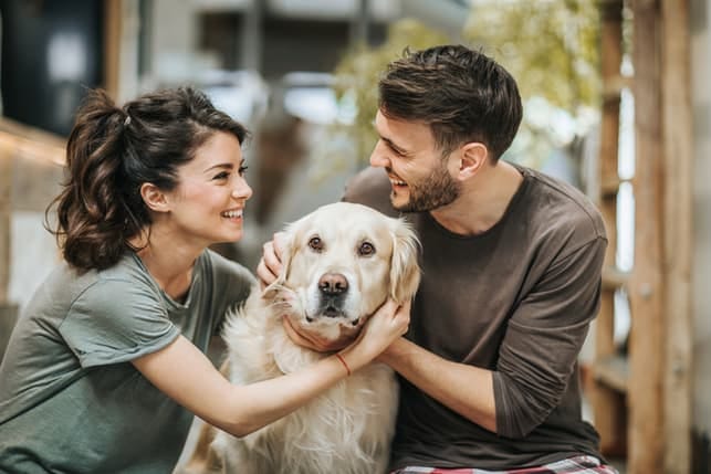 a happy couple petting their dog